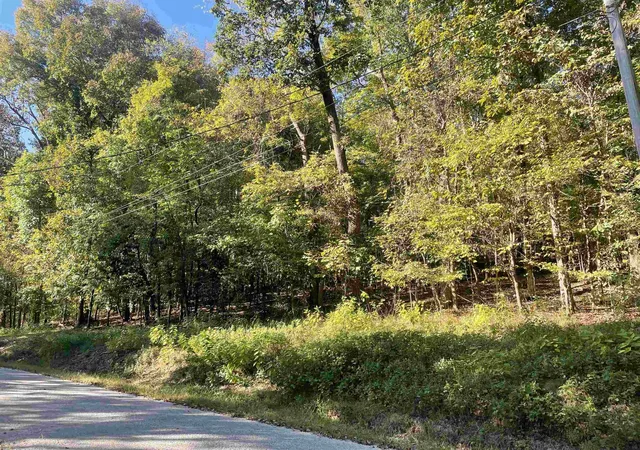 Photo 3 of Land for sale at 0 Crow Ln, Bath Springs, TN 38311 | MLS# 3531426 | Listing updated on 2026-09-02