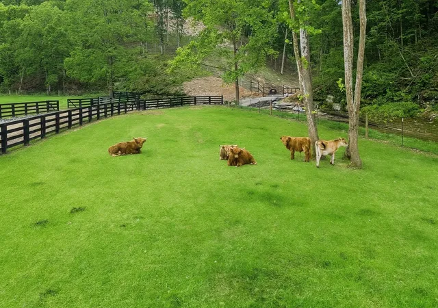 5th image of 1020 Bison Rdg, Joelton, TN 37080 | MLS# 3049819