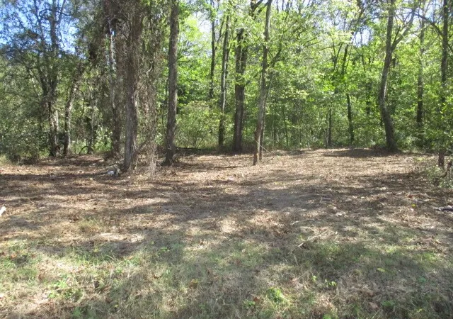 Photo 1 of Land for sale at 0 Reese Road, Bethpage, TN 37022 | MLS# 3011495 | Listing updated on 2026-08-20