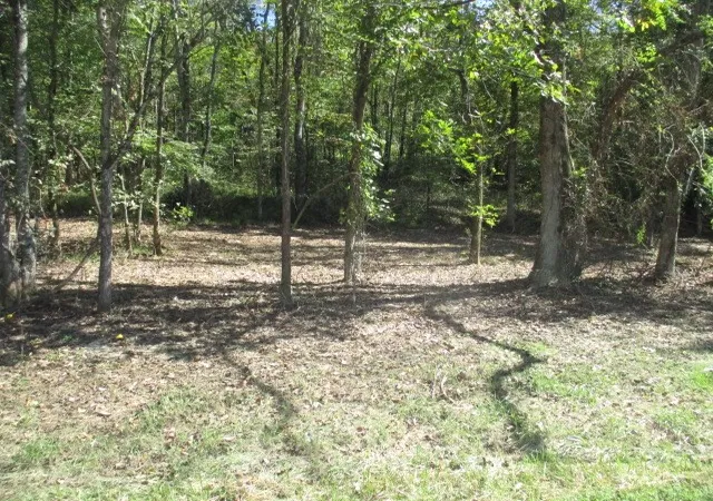 Photo 1 of Land for sale at 1141 Reese Rd, Bethpage, TN 37022 | MLS# 3011489 | Listing updated on 2026-08-20