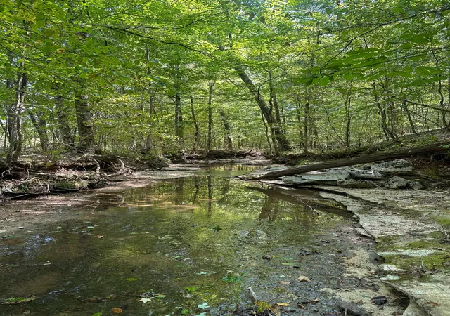 64th image of 0 Jeannette Holladay Rd, Parsons, TN 38363 | MLS# 3011953