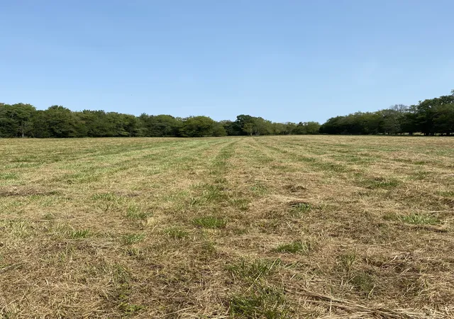 3rd image of 0 Hickory Ridge Road, Mount Juliet, TN 37122 | MLS# 3014021