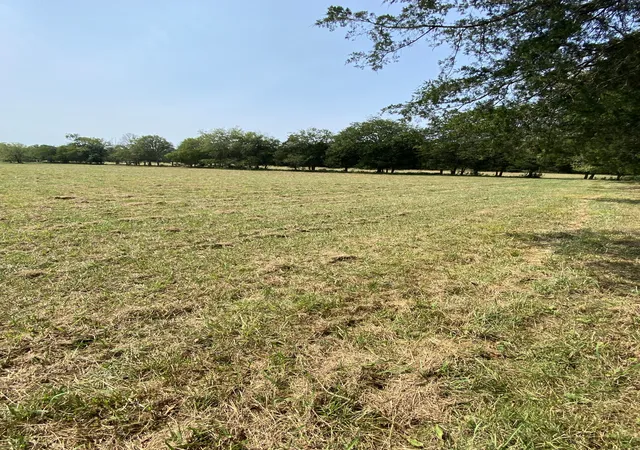 4th image of 0 Hickory Ridge Road, Mount Juliet, TN 37122 | MLS# 3014021
