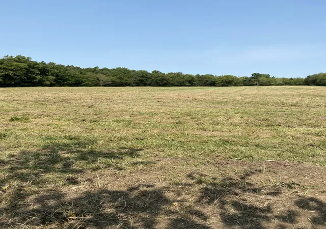 5th image of 0 Hickory Ridge Road, Mount Juliet, TN 37122 | MLS# 3014021