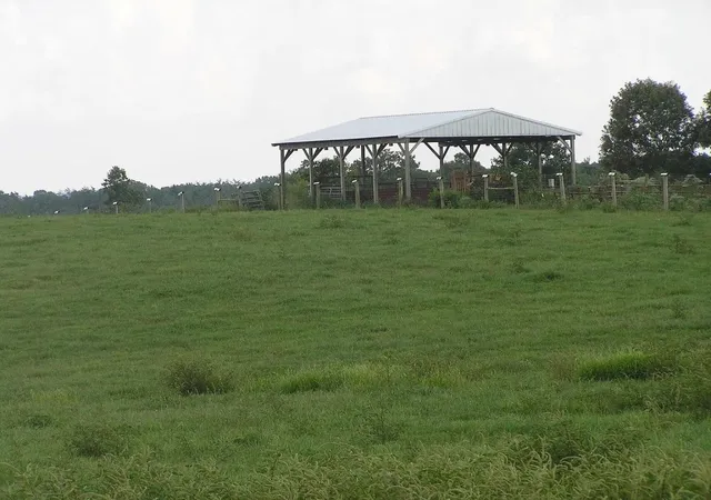 Photo 2 of Land for sale at 0 State Route 8, Mc Minnville, TN 37110 | MLS# 3012389 | Listing updated on 2026-08-30