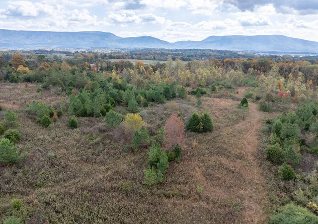 2nd image of 0 County Road 788, Etowah, TN 37331 | MLS# 3215889