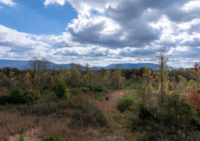9th image of 0 County Road 788, Etowah, TN 37331 | MLS# 3215889