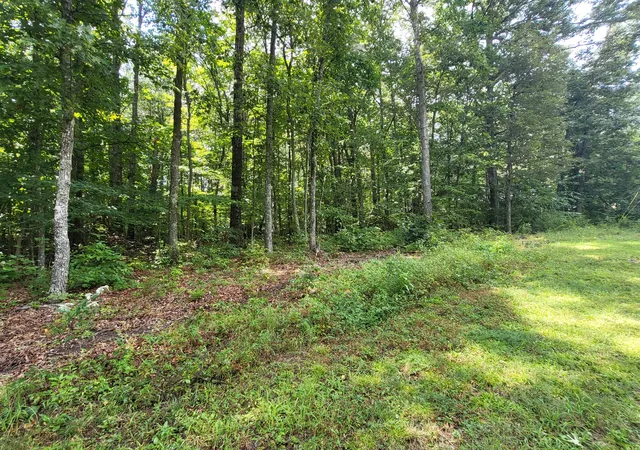 Photo 4 of Land for sale at 207 Saint George Dr, Crossville, TN 38558 | MLS# 3012784 | Listing updated on 2026-09-23
