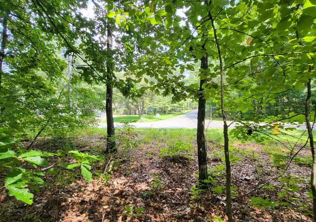 Photo 2 of Land for sale at 207 Saint George Dr, Crossville, TN 38558 | MLS# 3012784 | Listing updated on 2026-09-23
