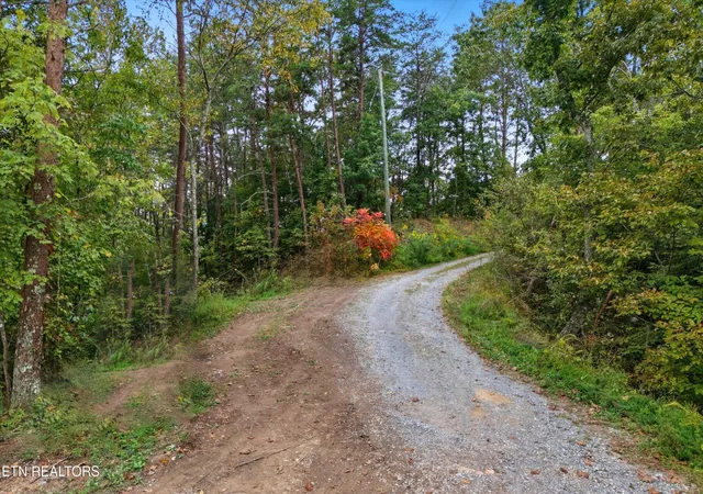 30th image of 2462 Dogwood Loop Dr, Sevierville, TN 37876 | MLS# 3013002