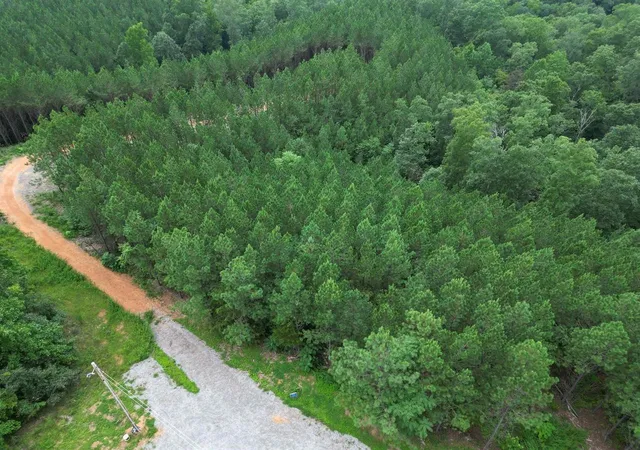 3rd image of 338 Juniper Dr, Linden, TN 37096 | MLS# 3013322