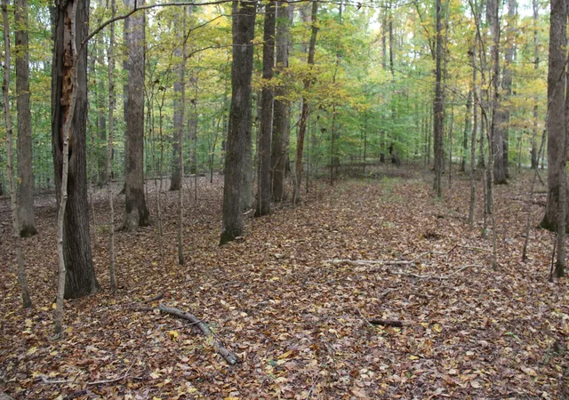 Photo 2 of Land for sale at 0 Jackson Cabin Rd, Kingston Springs, TN 37082 | MLS# 3037620 | Listing updated on 2025-11-02