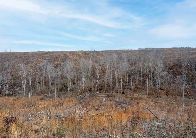 3rd image of 1455 Little Swan Creek Rd, Hohenwald, TN 38462 | MLS# 3017473