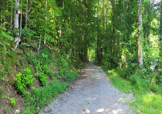 Photo 13 of Land for sale at 1 Terrapin Run Rd, Dover, TN 37058 | MLS# 3014813 | Listing updated on 2026-07-29