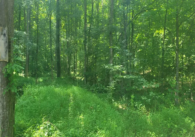 Photo 1 of Land for sale at 1 Terrapin Run Rd, Dover, TN 37058 | MLS# 3014813 | Listing updated on 2026-07-29