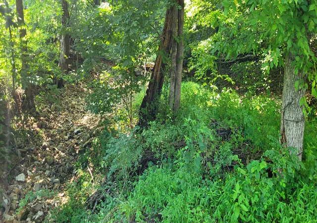 Photo 4 of Land for sale at 1 Terrapin Run Rd, Dover, TN 37058 | MLS# 3014813 | Listing updated on 2026-07-29