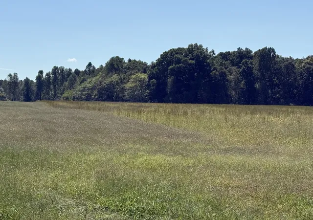 1st image of 0 Sixteenth Model Rd, Manchester, TN 37355 | MLS# 3014941