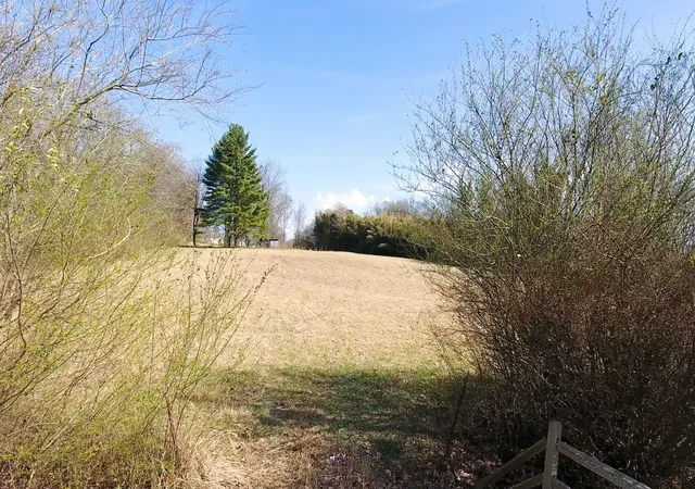 Photo 1 of Land for sale at 0 Spring Hill Dr Off, Winchester, TN 37398 | MLS# 3014968 | Listing updated on 2026-04-23