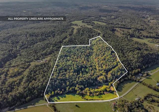 2nd image of 1740 Little Bartons Creek Rd, Cumberland Furnace, TN 37051 | MLS# 3015167