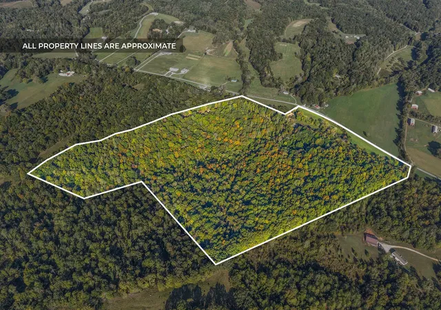 3rd image of 1740 Little Bartons Creek Rd, Cumberland Furnace, TN 37051 | MLS# 3015167