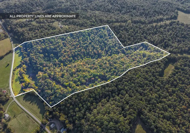 1st image of 1740 Little Bartons Creek Rd, Cumberland Furnace, TN 37051 | MLS# 3015167