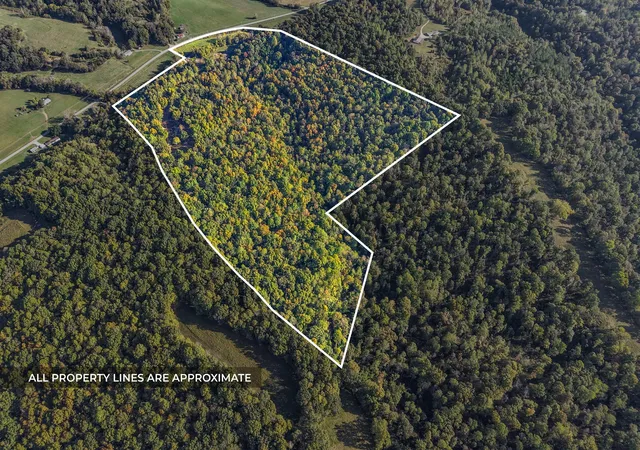4th image of 1740 Little Bartons Creek Rd, Cumberland Furnace, TN 37051 | MLS# 3015167