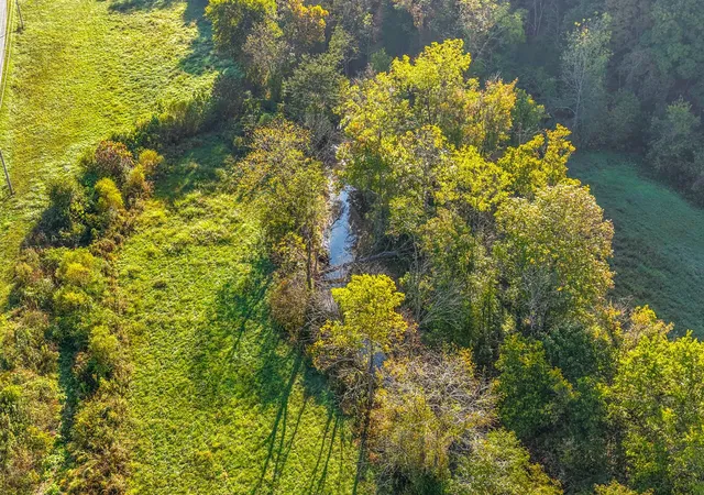 5th image of 1740 Little Bartons Creek Rd, Cumberland Furnace, TN 37051 | MLS# 3015167