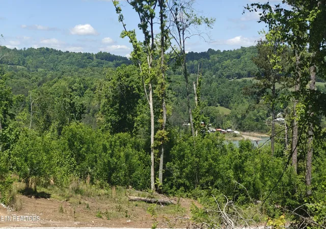 4th image of 0 Lake Lane, New Tazewell, TN 37825 | MLS# 3047865