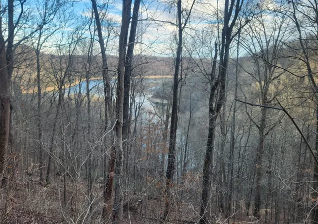 Photo 1 of Land for sale at 1 Antler Dr, Smithville, TN 37166 | MLS# 3015266 | Listing updated on 2026-06-04