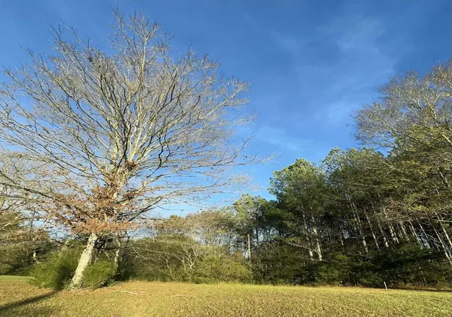 Photo 3 of Land for sale at 0 Georgetown Rd Nw, Cleveland, TN 37312 | MLS# 3298210 | Listing updated on 2026-08-30
