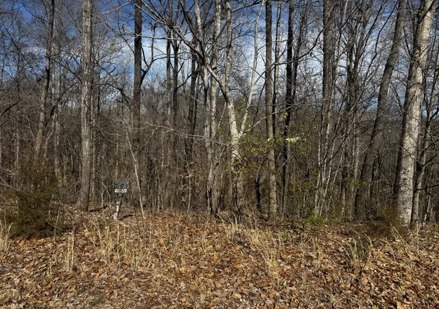 Photo 3 of Land for sale at 0 Dakota Ln, Smithville, TN 37166 | MLS# 3058040 | Listing updated on 2026-07-24