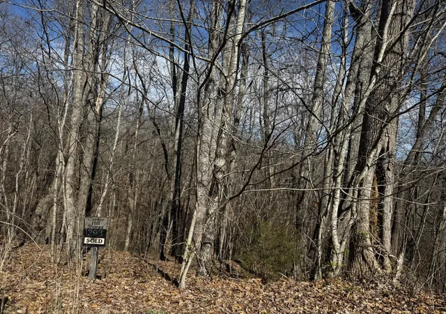 Photo 4 of Land for sale at 0 Dakota Ln, Smithville, TN 37166 | MLS# 3058040 | Listing updated on 2026-07-24