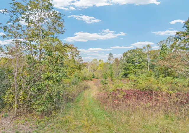 1st image of 202 Sells Cemetery Rd, Wilder, TN 38589 | MLS# 3030843