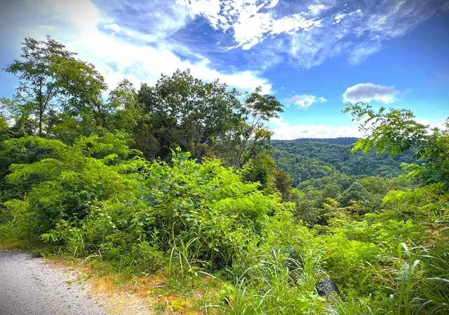 1st image of 142 Sunfish Lane, Hilham, TN 38568 | MLS# 3045384