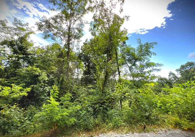 4th image of 142 Sunfish Lane, Hilham, TN 38568 | MLS# 3045384