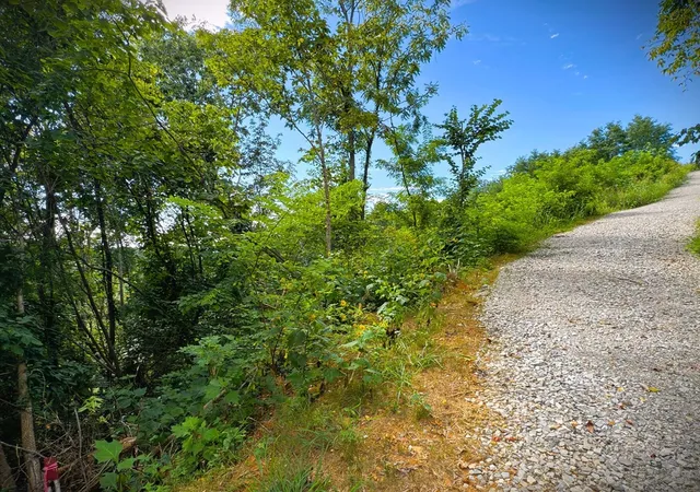 5th image of 142 Sunfish Lane, Hilham, TN 38568 | MLS# 3045384