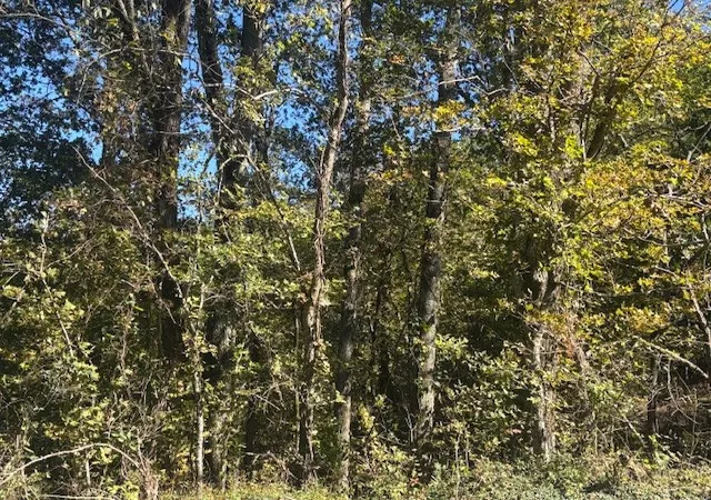 1st image of 1 Magazine Road, Pulaski, TN 38478 | MLS# 3017360