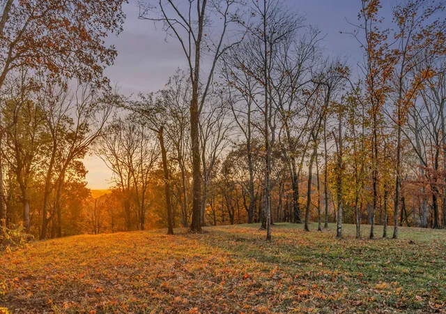 Photo 1 of Land for sale at 0 Burke Holw Rd Tract 1, Nolensville, TN 37135 | MLS# 3017700 | Listing updated on 2026-09-04