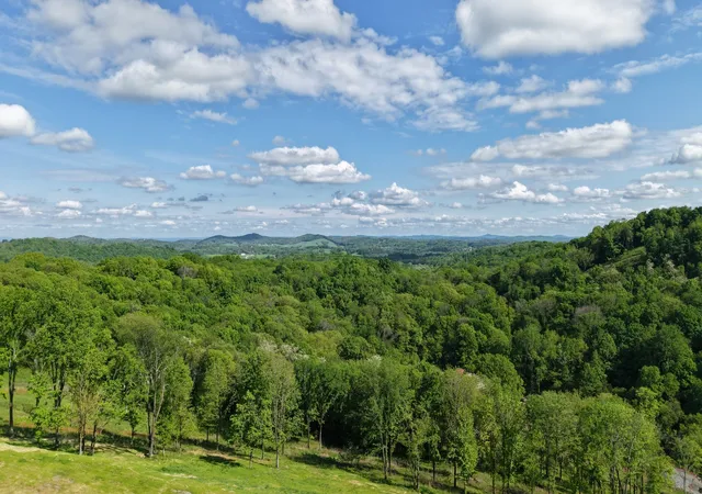 2nd image of 0 Burke Hollow Road, Nolensville, TN 37135 | MLS# 3017703