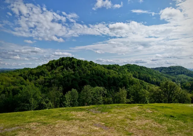 3rd image of 0 Burke Hollow Road, Nolensville, TN 37135 | MLS# 3017703