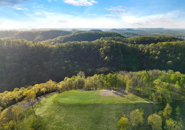 4th image of 0 Burke Hollow Road, Nolensville, TN 37135 | MLS# 3017703