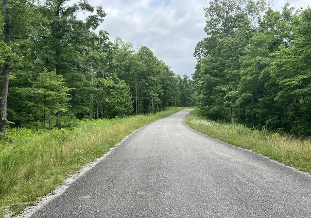 Homes for sale in Primm Springs, TN | 0 Slaughter Rd, Primm Springs, TN 38476 | MLS# 3017612
