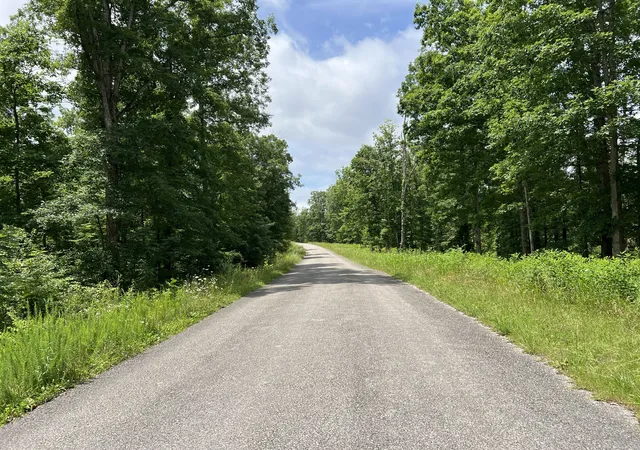 Homes for sale in Primm Springs, TN | 0 Slaughter Rd, Primm Springs, TN 38476 | MLS# 3017612