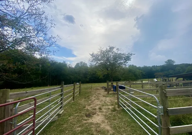 5th image of 310 Sands Rd, Pulaski, TN 38478 | MLS# 3017737
