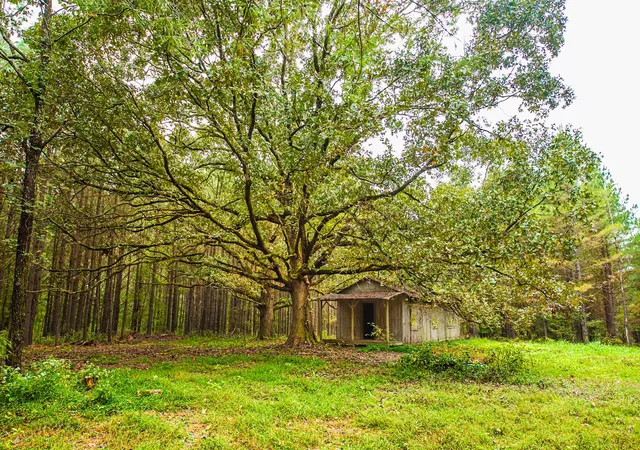 Photo 3 of House for sale at 9062 Dry Creek Rd, Mount Pleasant, TN 38474 | MLS# 3018236 | Listing updated on 2026-08-25