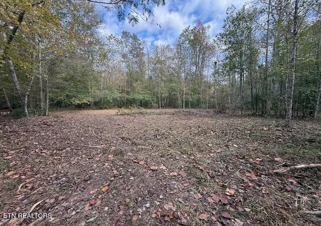 Homes for sale in Oliver Springs, TN | 1446 Cove Lane, Oliver Springs, TN 37840 | MLS# 3018400