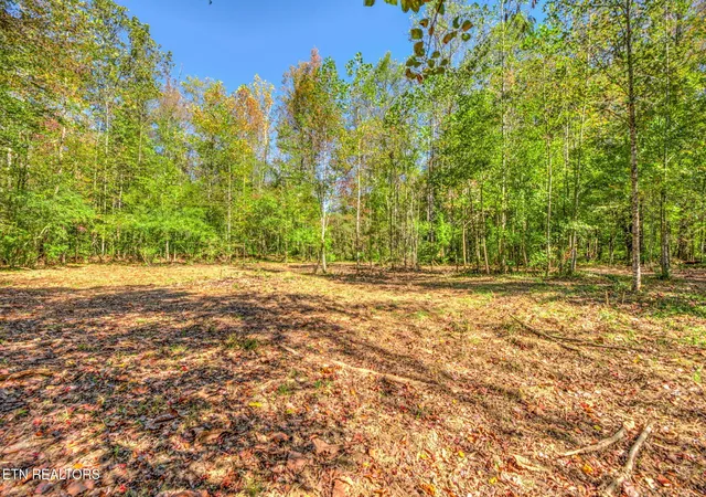 Homes for sale in Oliver Springs, TN | 1446 Cove Lane, Oliver Springs, TN 37840 | MLS# 3018400
