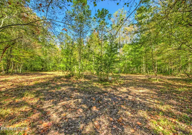 Homes for sale in Oliver Springs, TN | 1446 Cove Lane, Oliver Springs, TN 37840 | MLS# 3018400