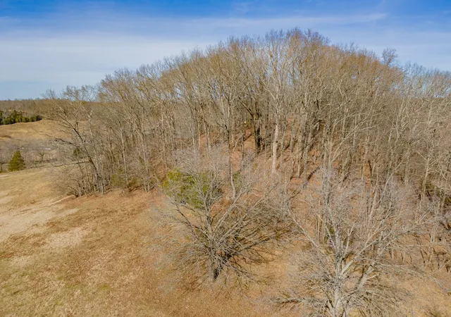 Homes for sale in Lawrenceburg, TN | 0 Smith Hill Rd, Lawrenceburg, TN 38464 | MLS# 3030754