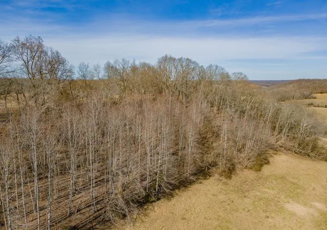 49th image of 0 Hurricane Creek Rd, Lawrenceburg, TN 38464 | MLS# 3030759